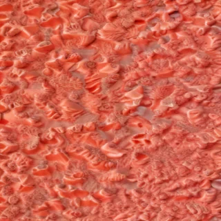 coral color