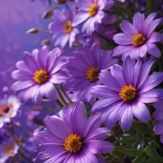 purple flowers background
