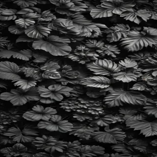 black and white wallpaper iphone