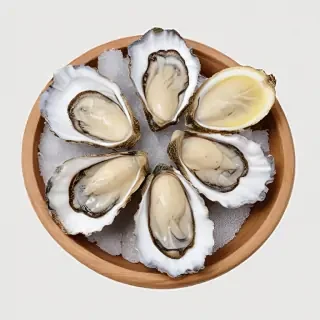 oysters png