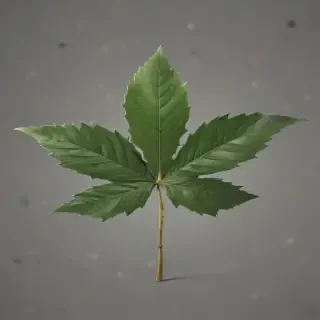 pot leaf png