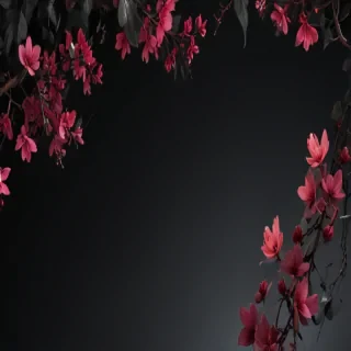 black background wallpaper aesthetic