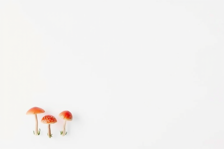 Create a minimalist illustration of red and white mushrooms in the bottom left corner of a blank white square, using a Canon EOS R5 camera with a 50mm lens, aperture set to f/2.8, ISO 100, and a soft, diffused lighting style for enhanced image quality.