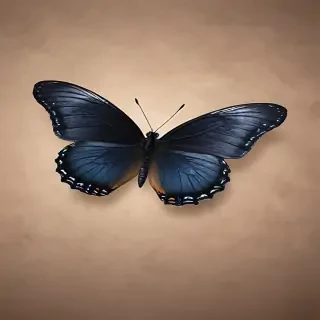 black butterfly png