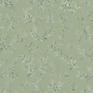sage green bg