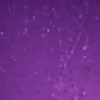 computer wallpaper purple