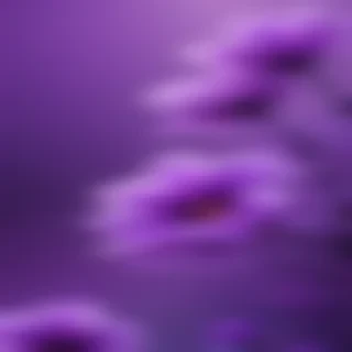 cute purple wallpapers