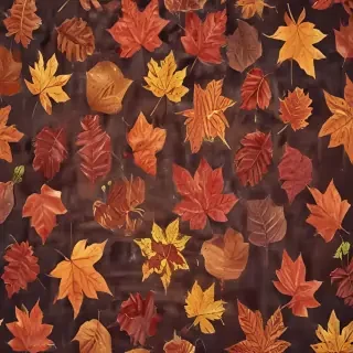 fall wallpaper