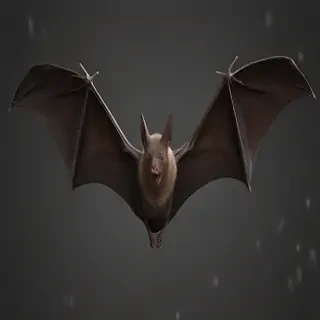 bat png