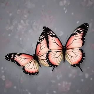 background wallpaper butterfly
