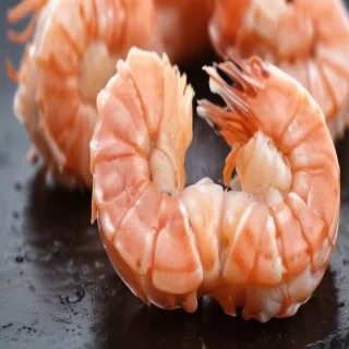 shrimp png