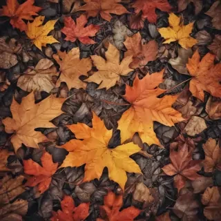 iphone wallpaper fall