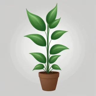 plant clipart png
