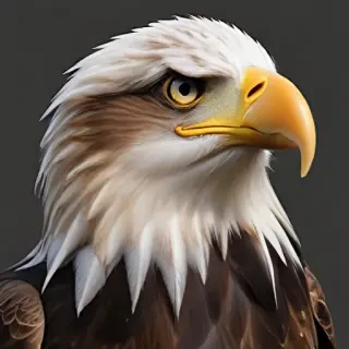 eagle transparent