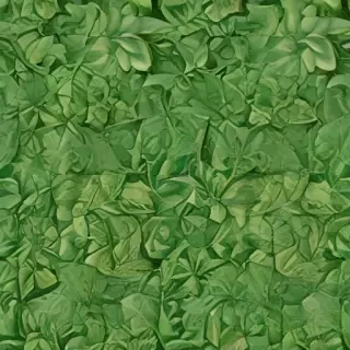 leaf background green