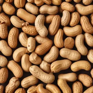 peanut png