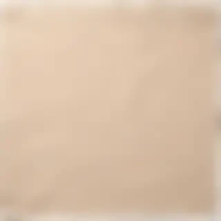 aesthetic ripped paper png