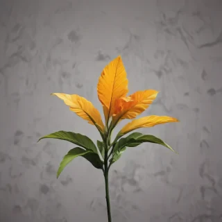 minimal wallpaper iphone
