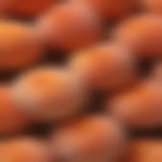 peach png