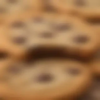 chocolate chip cookie png