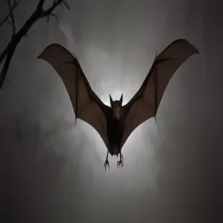 pictures of halloween bats