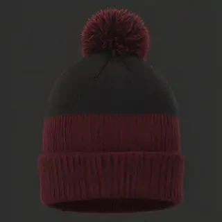 beanie png