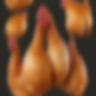 chicken png