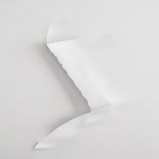 white background aesthetic