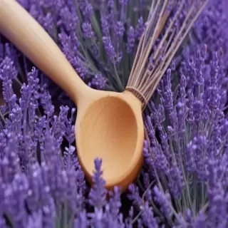 lavender background