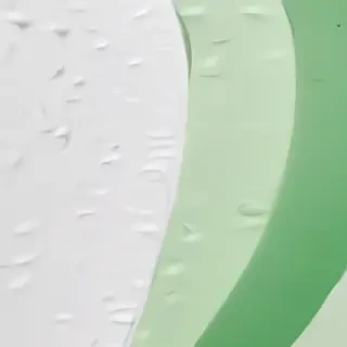 white and green background