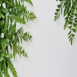 white and greenery background