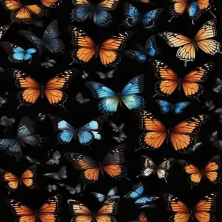 butterflies in black background