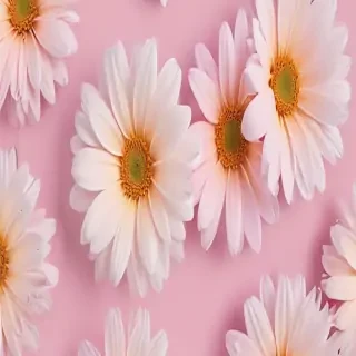 pastel aesthetic flower wallpaper