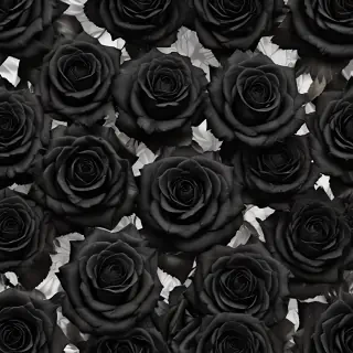 black roses background