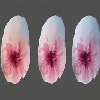 aesthetic transparent background