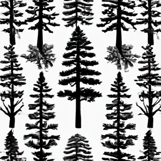 black and white pine tree clip art