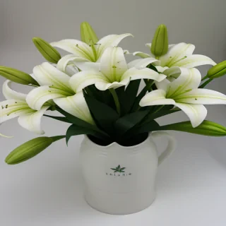 lily flowers