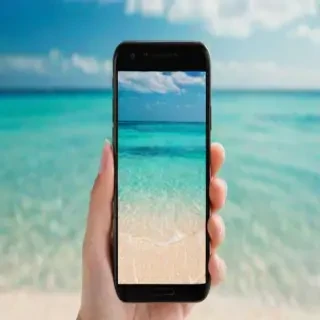 summer phone wallpaper