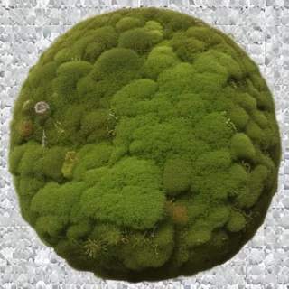 moss png