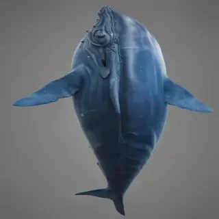 blue whale png