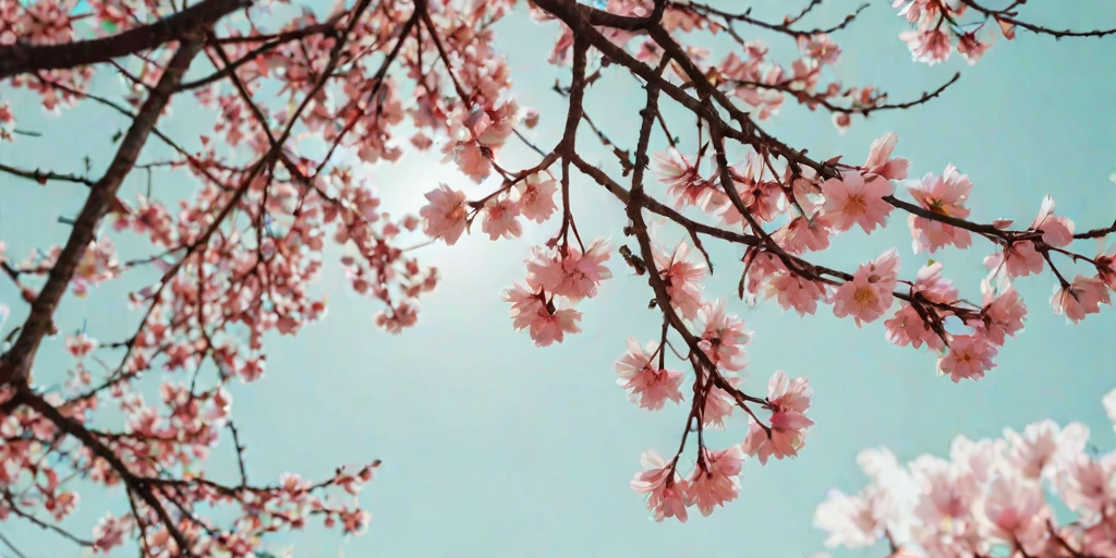 aesthetic spring wallpapers