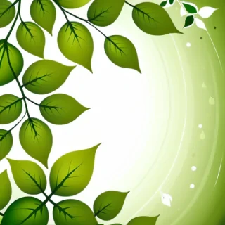 background with green leaves
