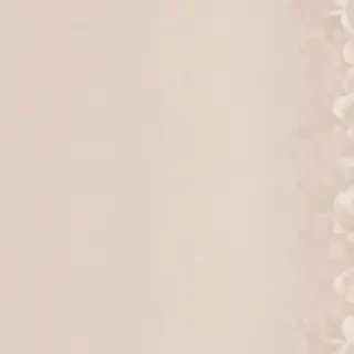 aesthetic neutral wallpaper