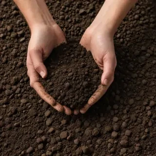 soil png