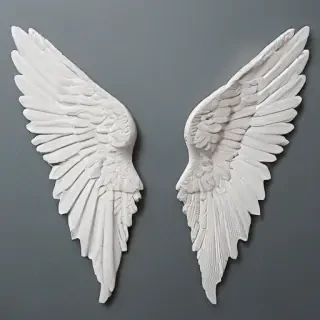 angel wing pictures
