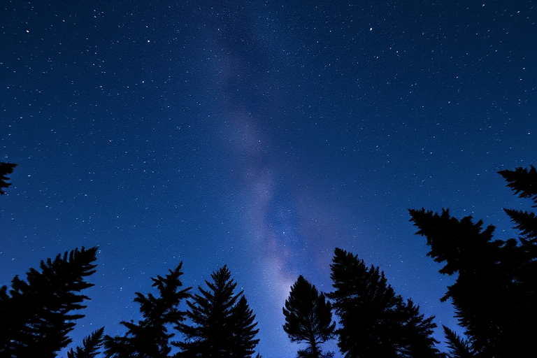 night sky with milky way over silhouettes of pine trees, long exposure, ISO 3200, f/2.8, 20 seconds, wide-angle lens, DSLR camera, low angle view, clear night sky