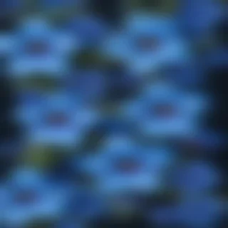 blue flowers transparent background