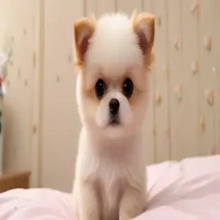 cute pic image