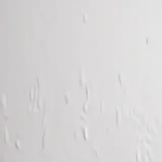 white background