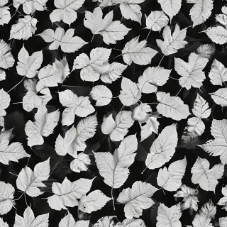 leaf white and black